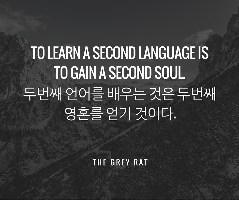 Wisdom