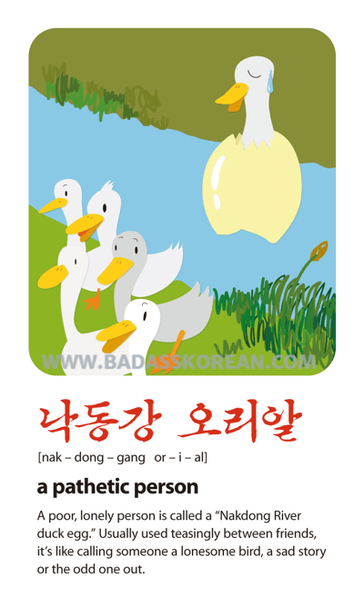 낙동강오리알 illustrated Korean slang card