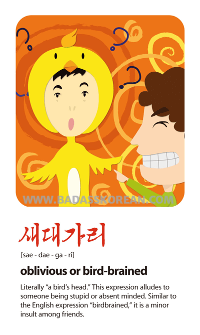 새대가리 illustrated Korean slang card